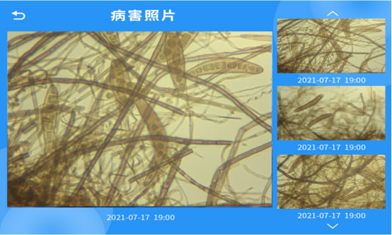 全自動(dòng)孢子捕捉分析方案